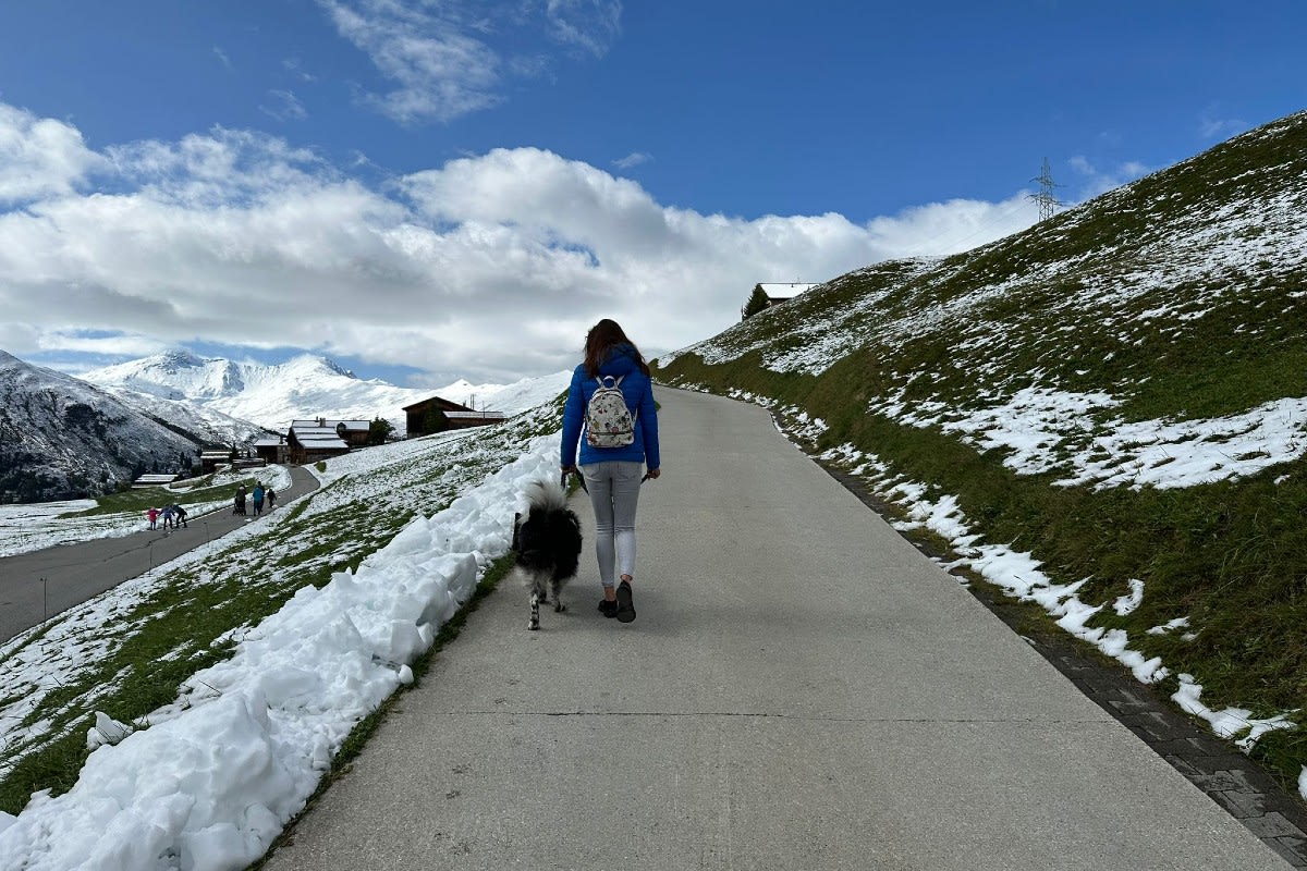 Hundeleinenpflicht im Kanton Zug 