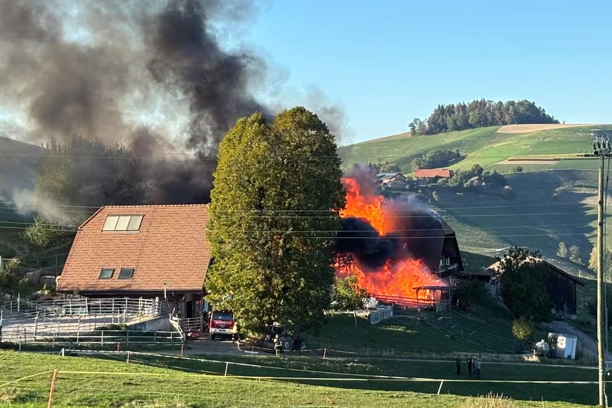 Hinterfultigen BE – Bauernhaus bei Brand komplett zerstört