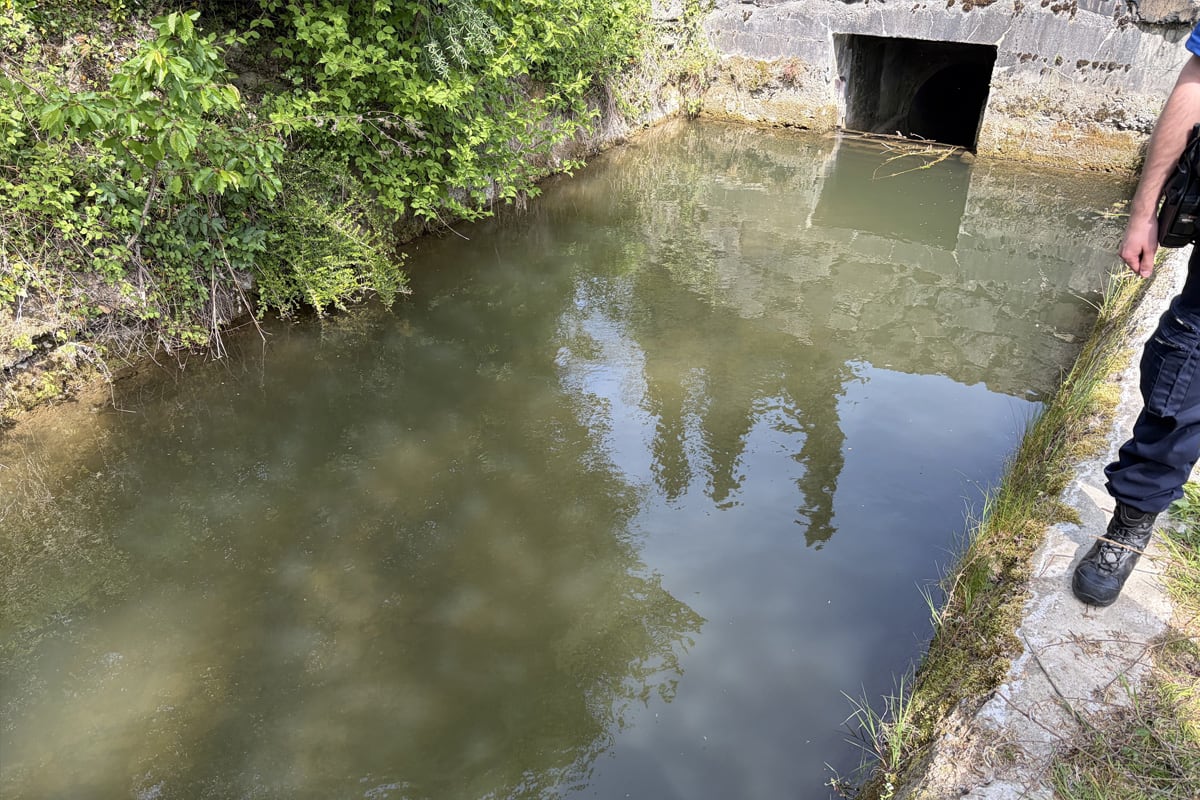 Berneck SG – Jauche im Bach verursacht Fischsterben