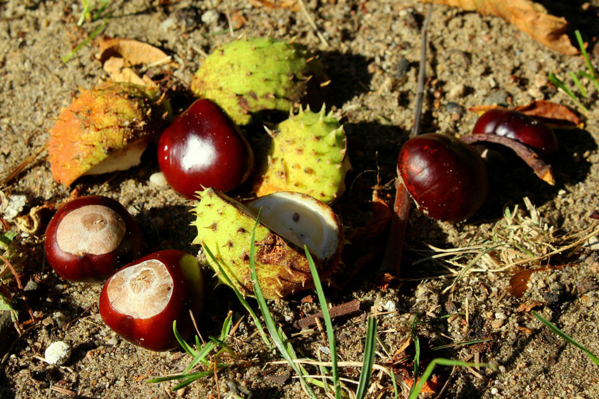 September war viel zu warm