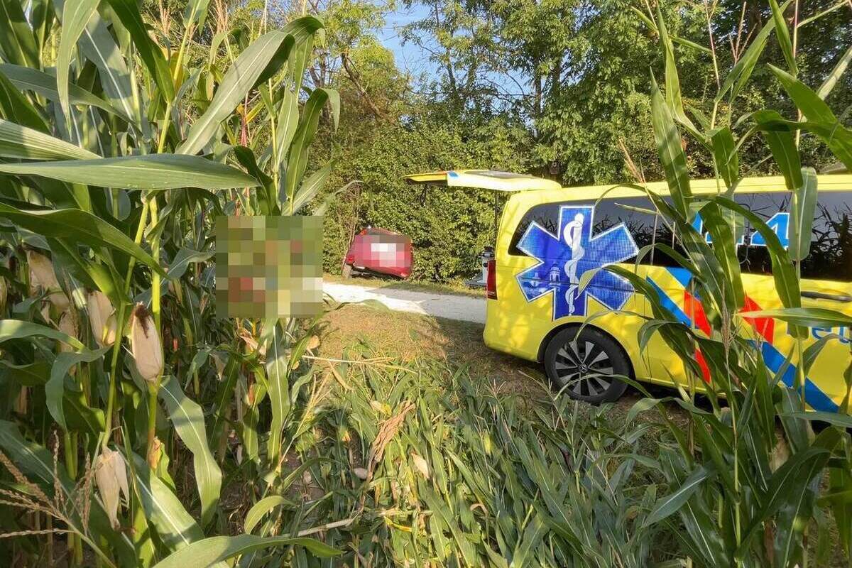 Egerkingen SO - 65-Jähriger verstirbt noch am Unfallort