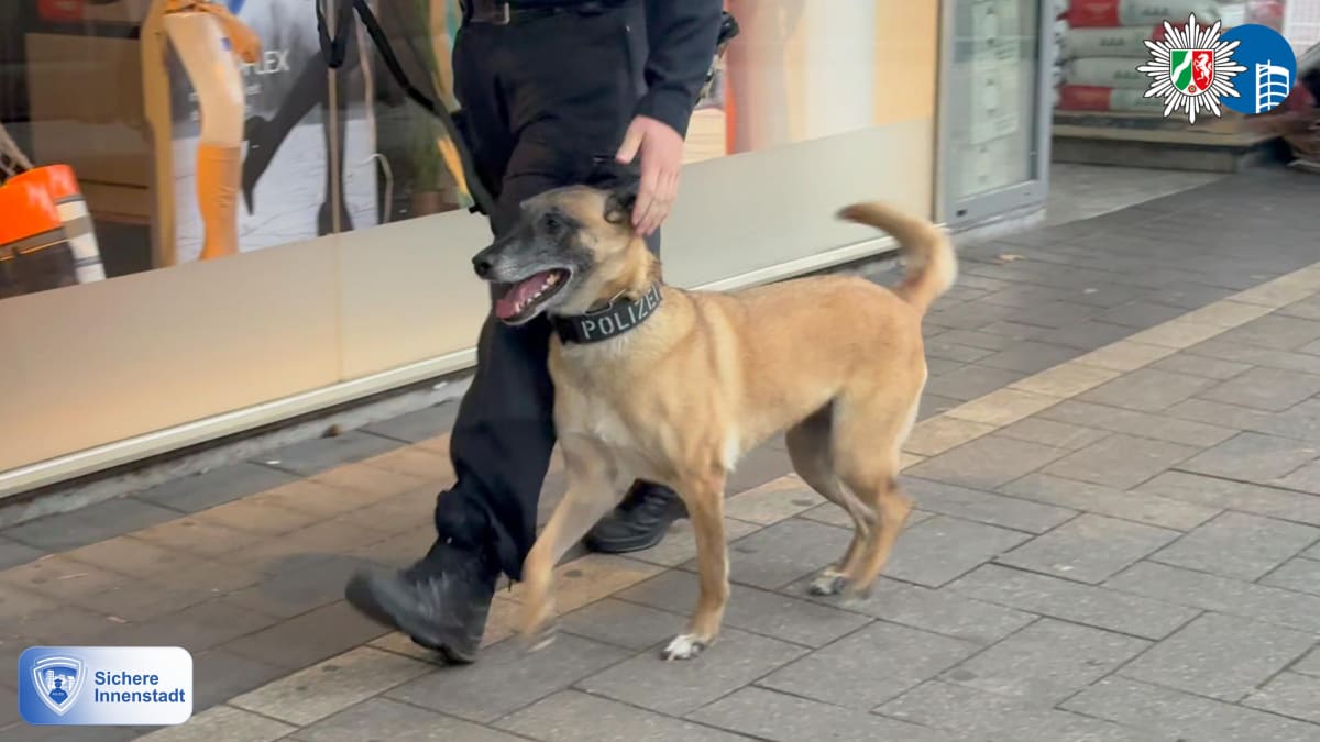 Oberhausen – Sechs Festnahmen bei Einsatz gegen Drogenhandel