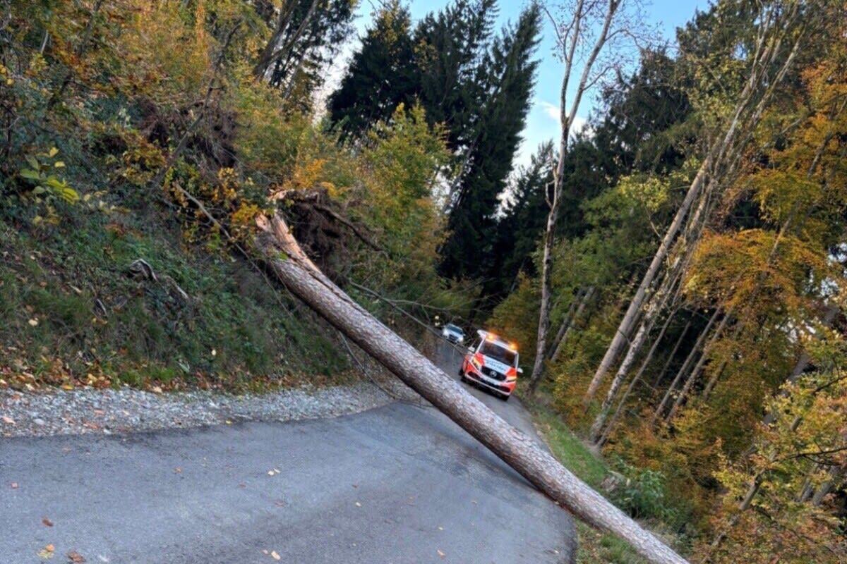 Winterthur ZH – Einsätze wegen Sturmtief «Benjamin»