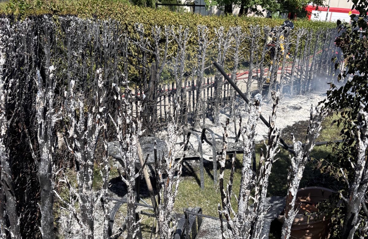 Wil SG – Brand beim Abbrennen von Unkraut