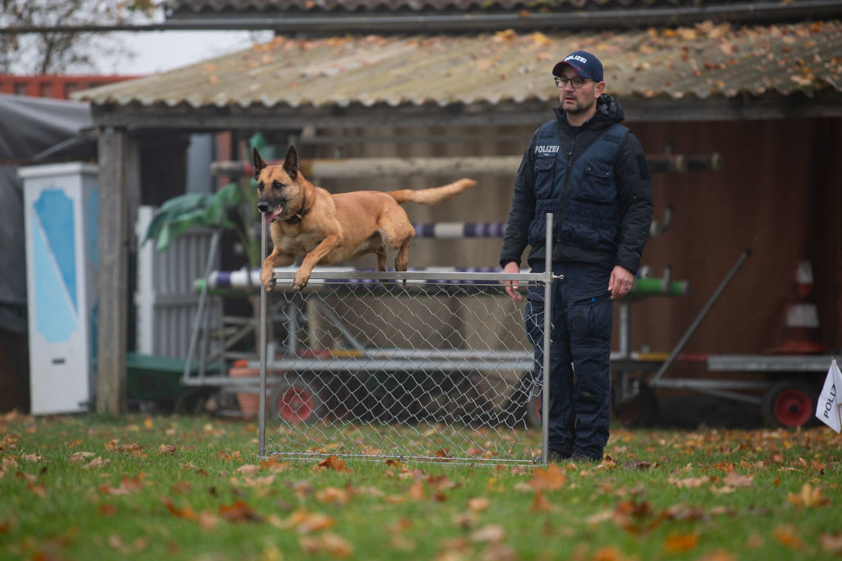 Hundeprüfung in Aesch BL – Baselbieter Polizist gewinnt mit Polizeihund Ace 