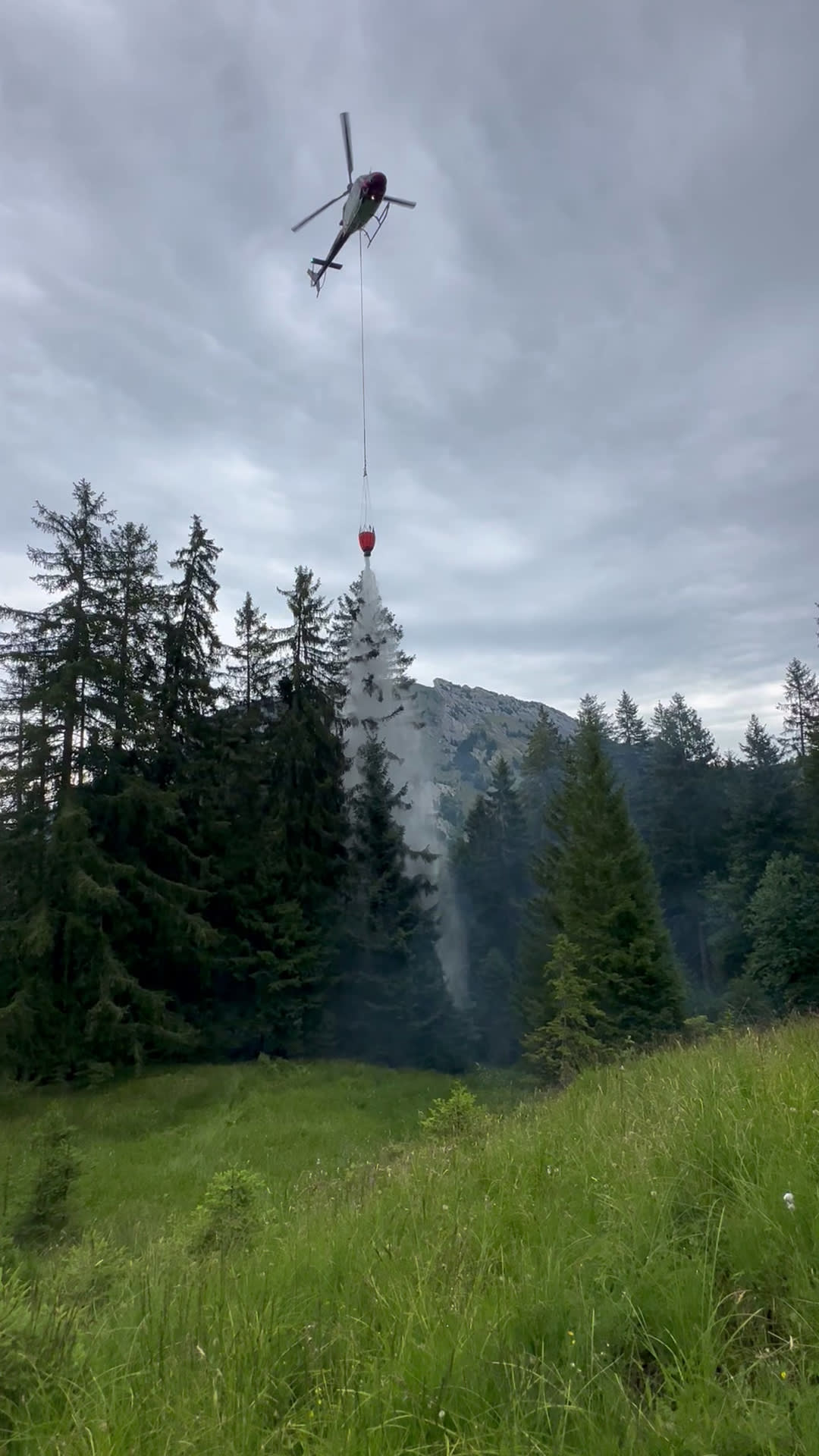 Innerthal SZ – Waldbrand nach Blitzeinschlag