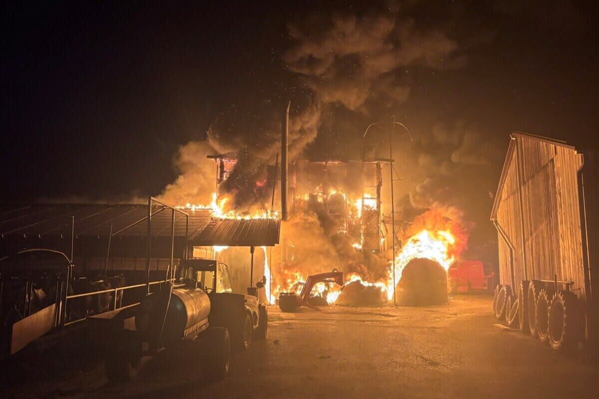 Schellenberg FL – Stall in Vollbrand – über 90 Tiere gerettet