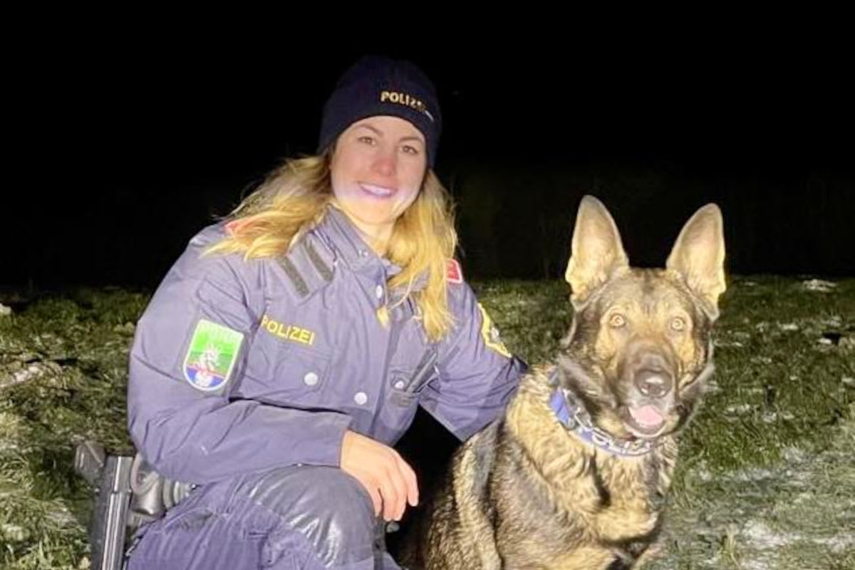 Vöcklabruck – Polizeihund spürt jugendliche Einbrecher auf