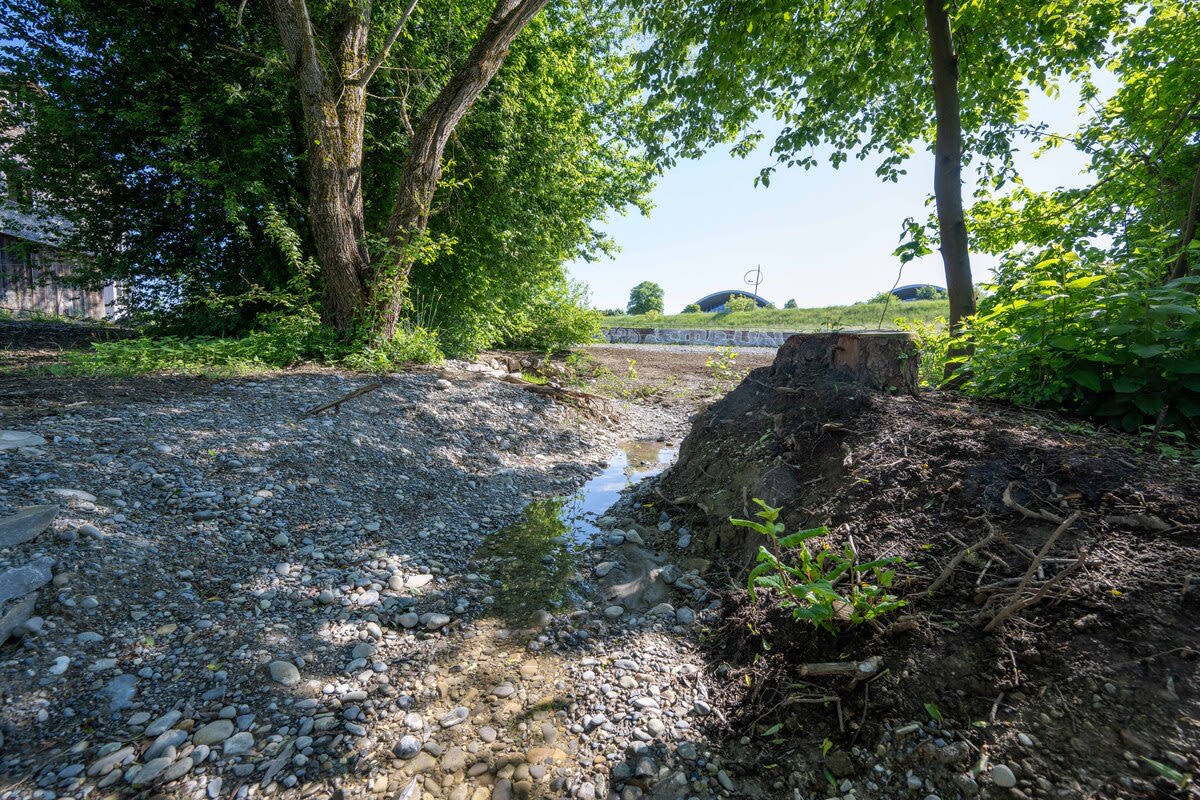 Bern – Neue Weiher und Wiesen - Lebensraum für Amphibien im Wyssloch