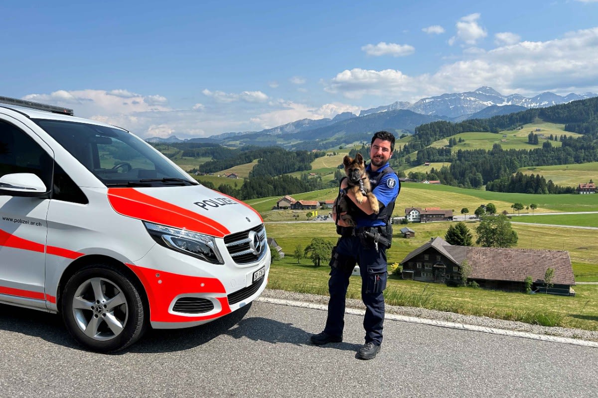 Jööö Effekt - Junger Diensthund bei der Kantonspolizei Appenzell Ausserrhoden