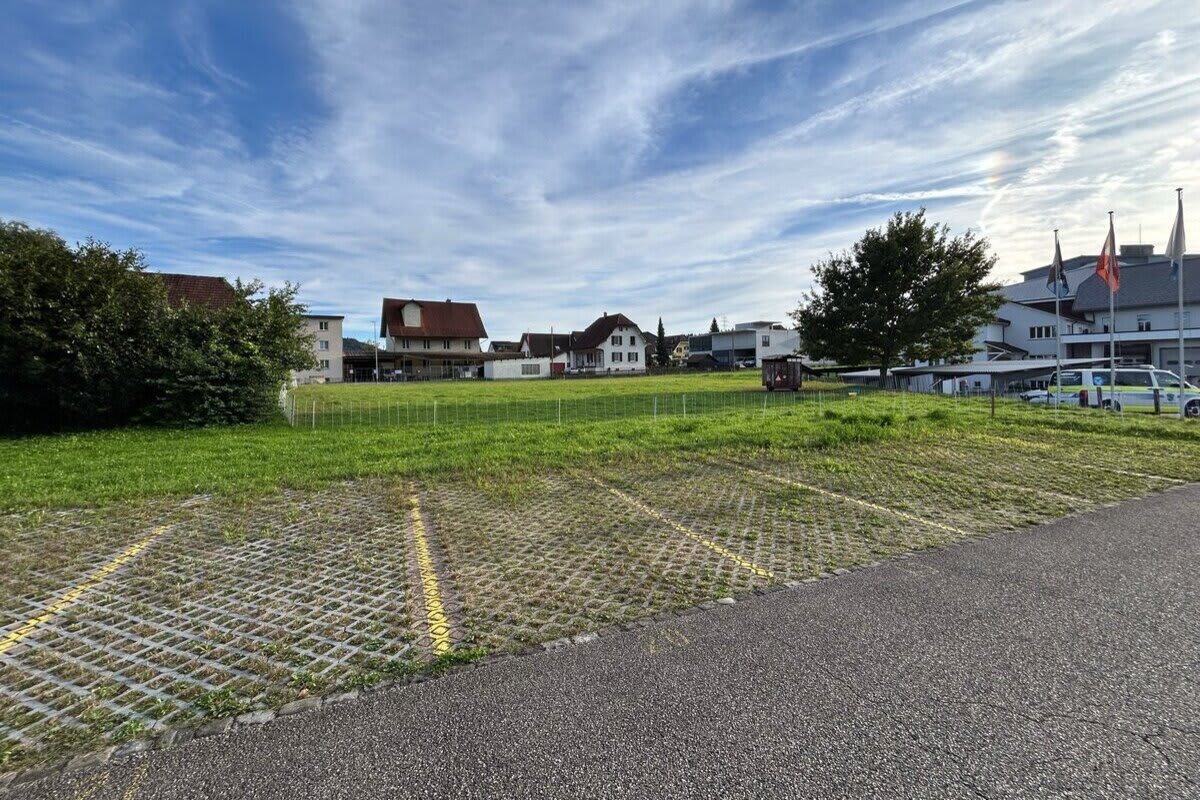 Acht Schafe von Weide in Rupperswil AG gestohlen