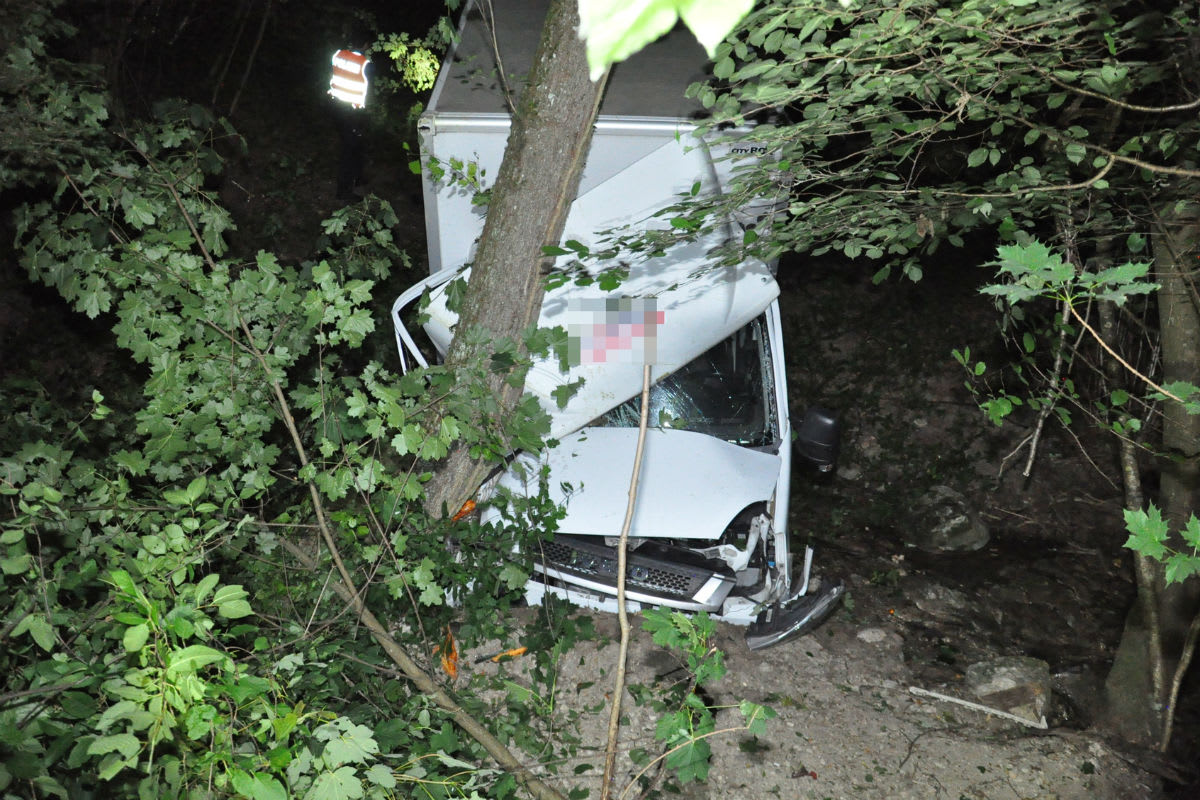 Günsberg SO - Lieferwagen prallt in Baum