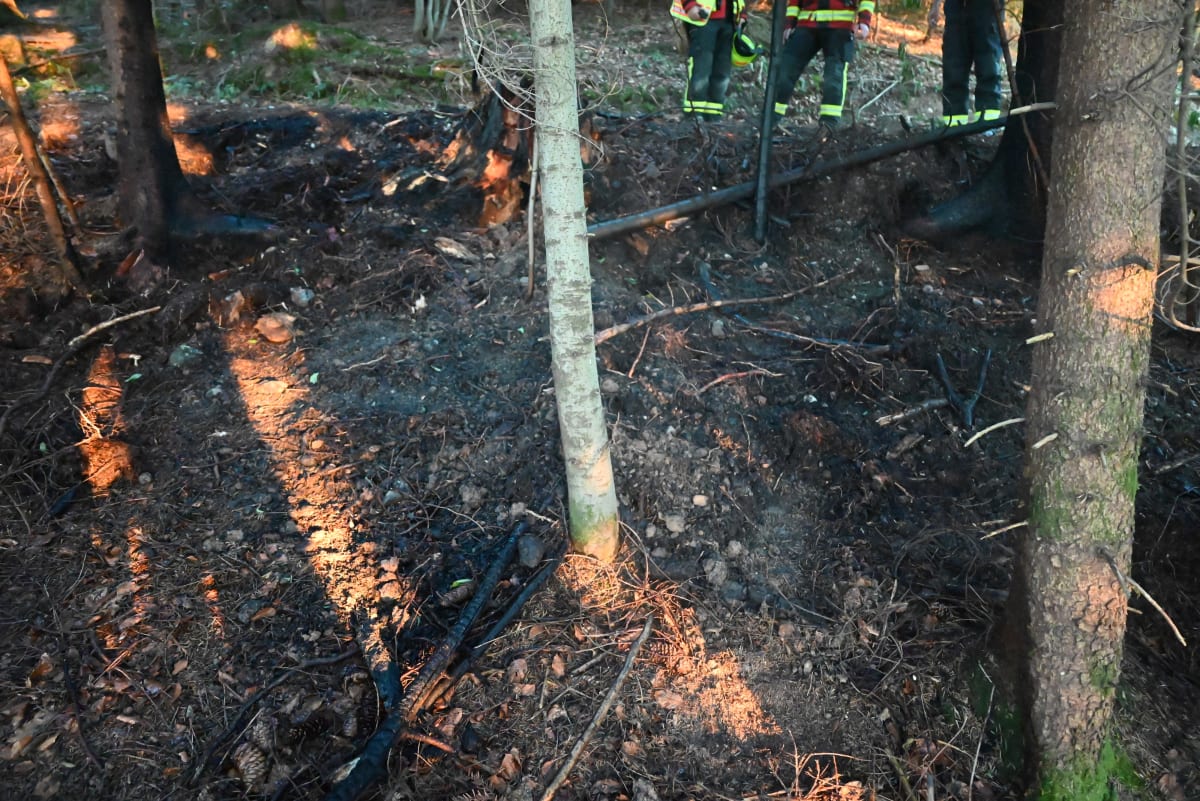 Degersheim SG – Waldstück im Bruederwald gerät in Brand