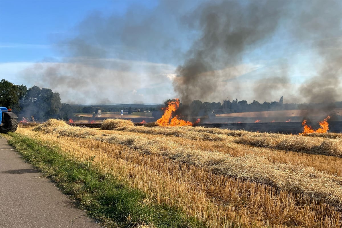 Gunzgen SO – Brand in Keller ausgebrochen