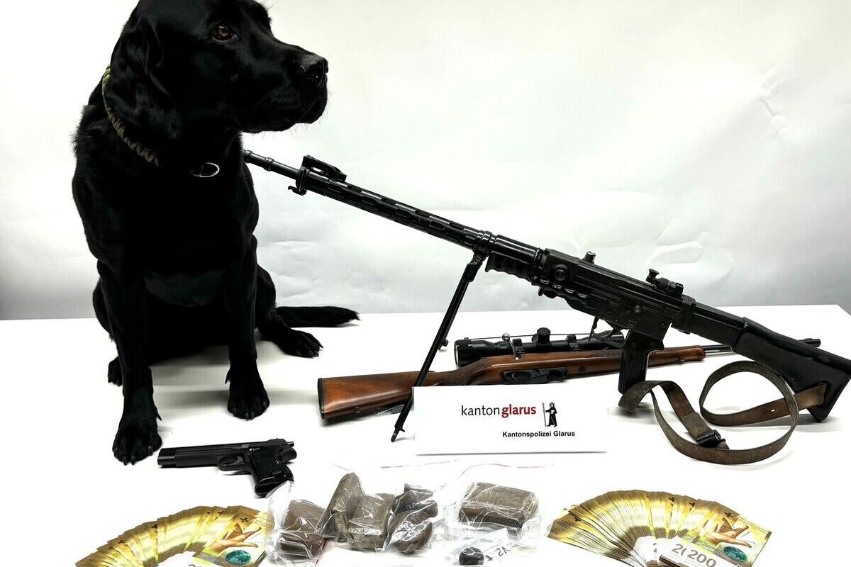 Kanton Glarus - Polizeihund ‘Flake’ hilft Drogen, Bargeld und Schusswaffen sicherzustellen 