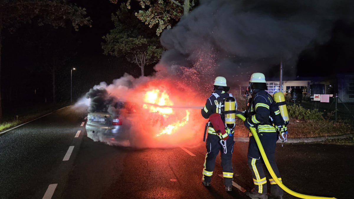 Celle – Auto prallt gegen Baum und gerät in Brand