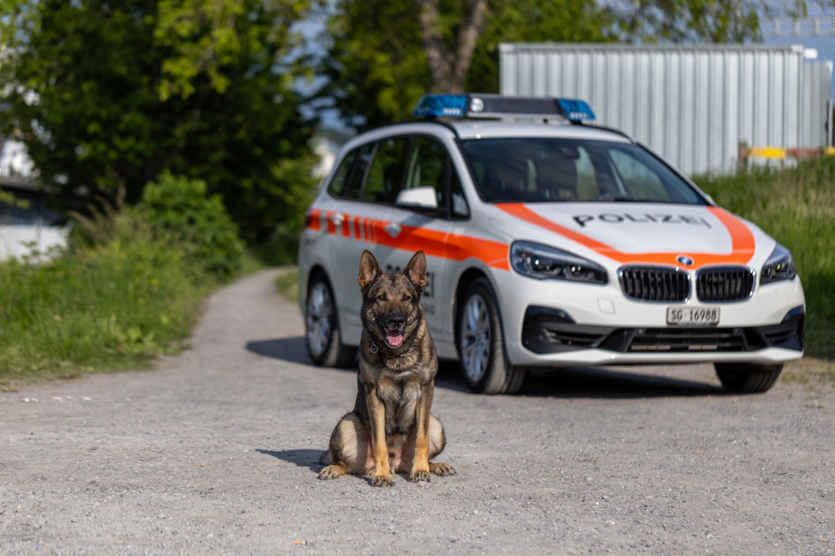 Einbruch in Ermenswil SG – Diensthund Erol stellt Autodieb