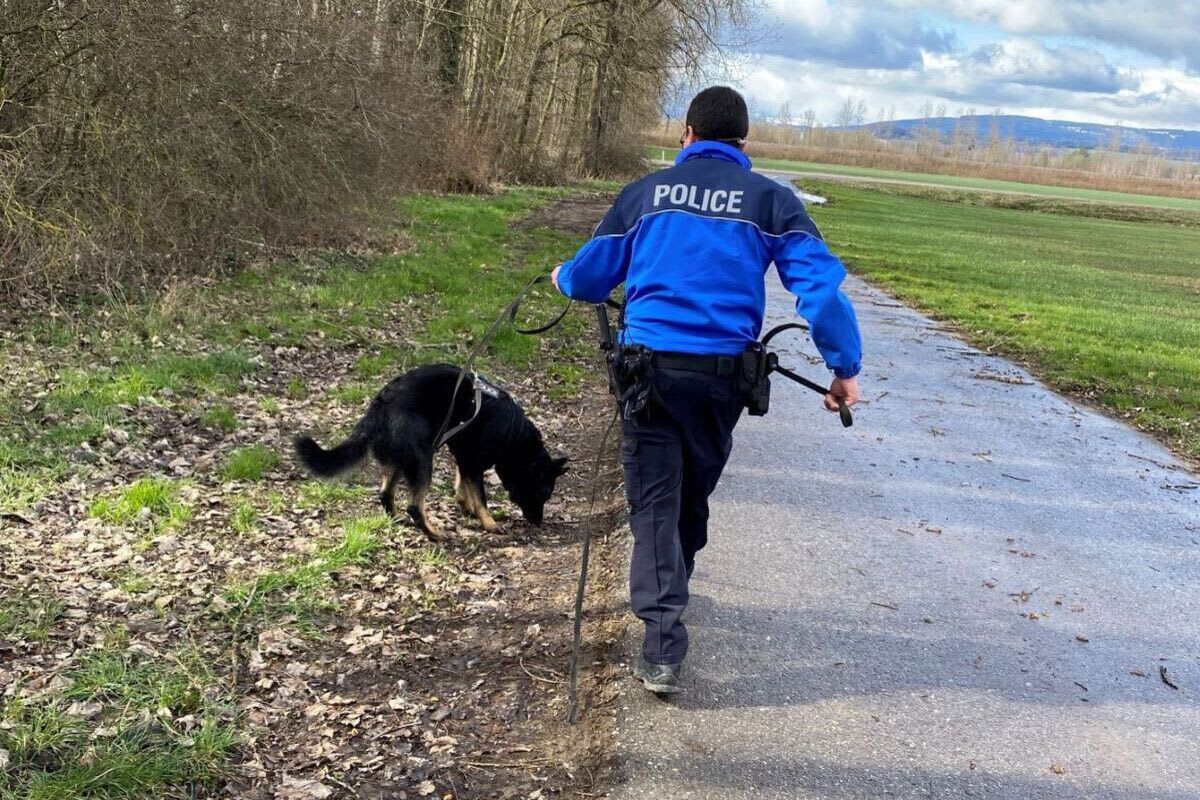 Schmitten FR – Jugendliche Einbrecher dank Polizeihunden geschnappt 