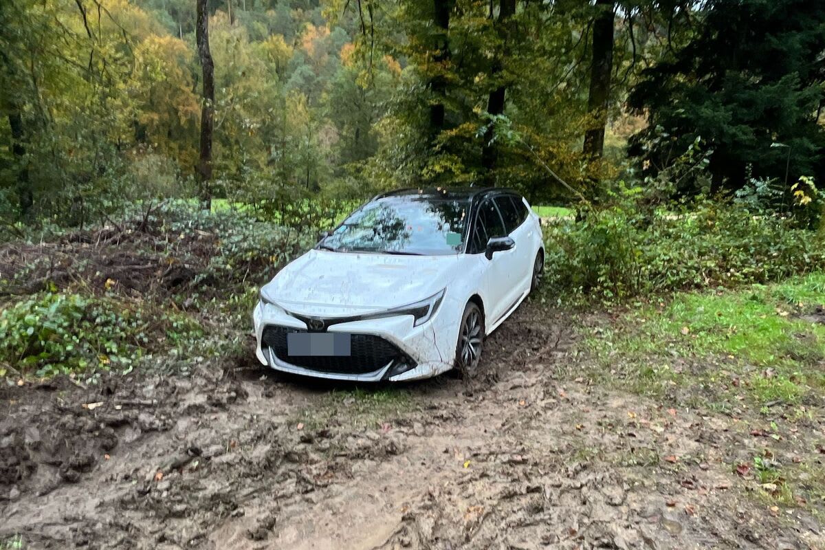 Nuglar SO - Auto bleibt im Waldboden stecken - Lenker wird festgenommen 