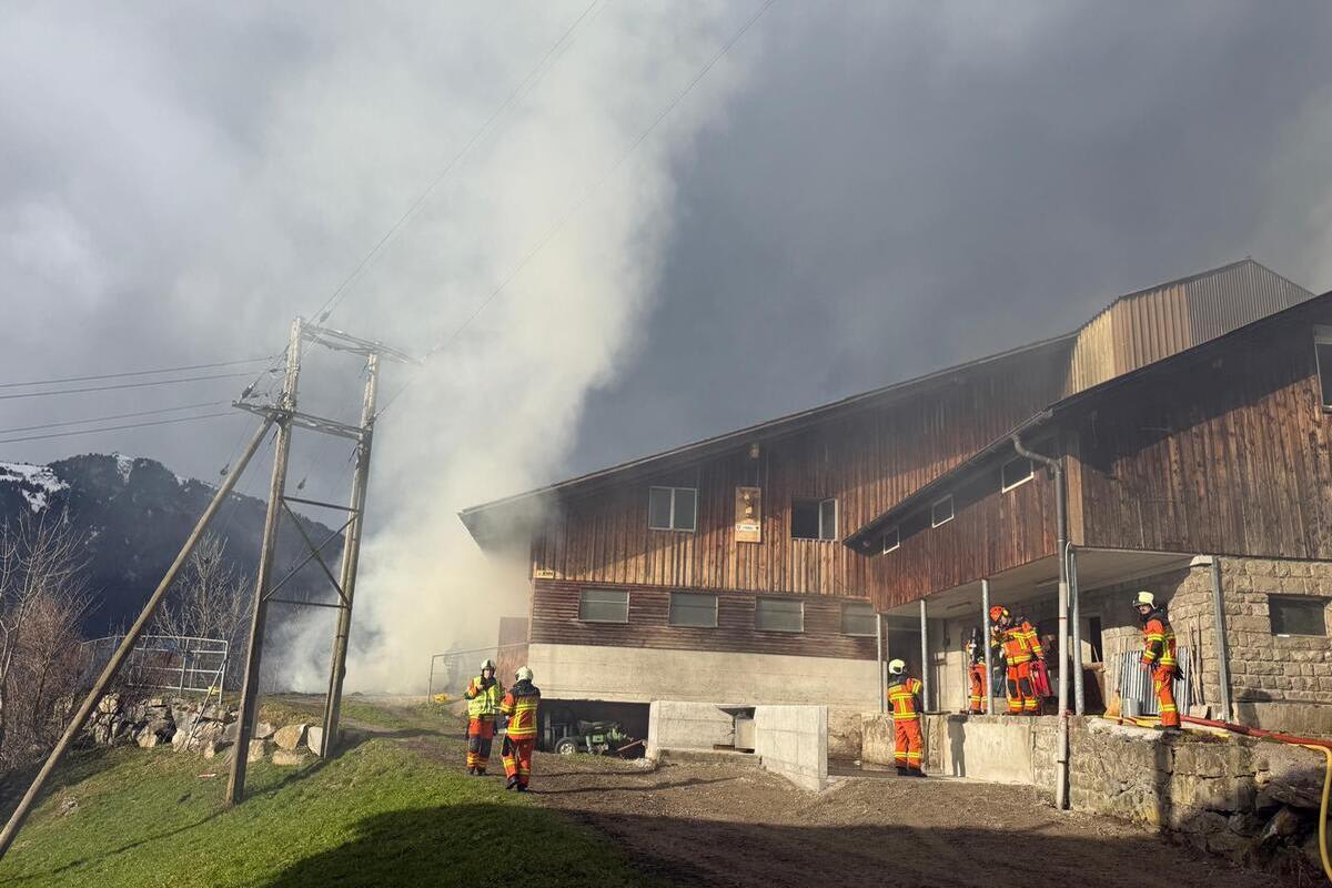 Altdorf UR – Zwei Personen bei Brand verletzt