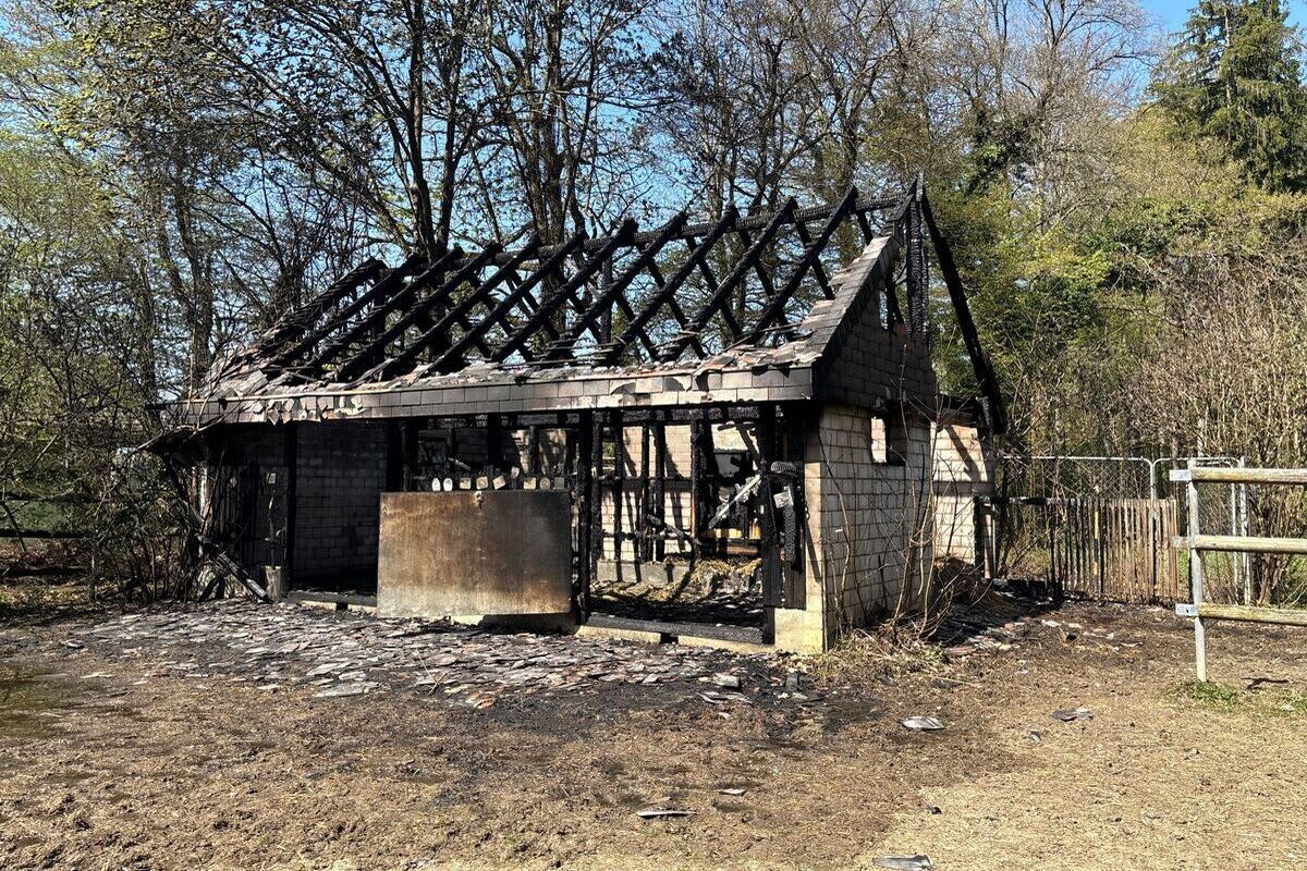 Hochwald SO – Pferdestall bei Brand zerstört