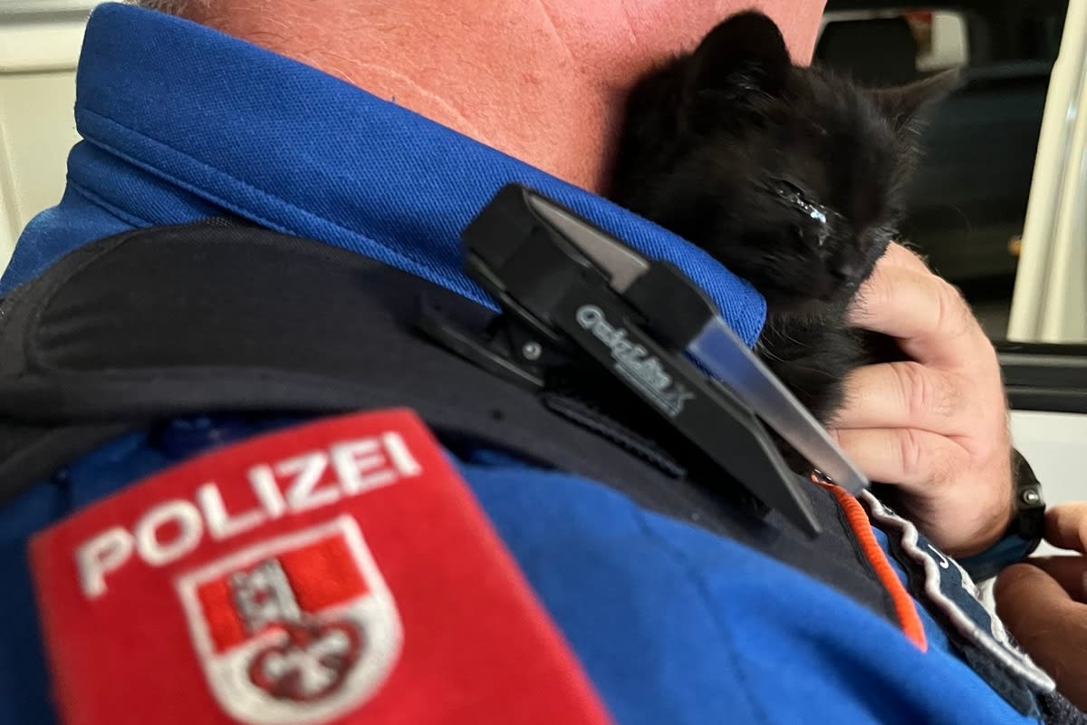 Kerns OW - Polizei rettet ein junges Kätzchen aus einem Schacht