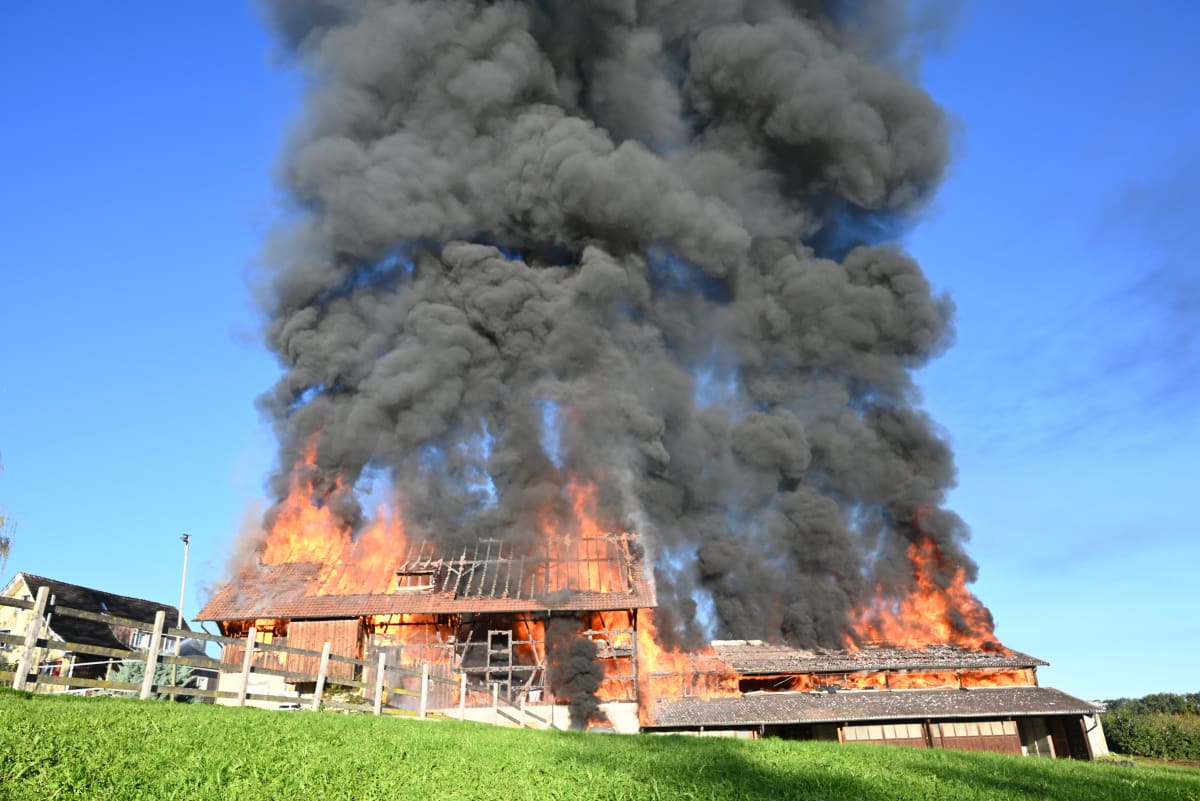 Mörschwil SG – Zwei Scheunen bei Grossbrand zerstört