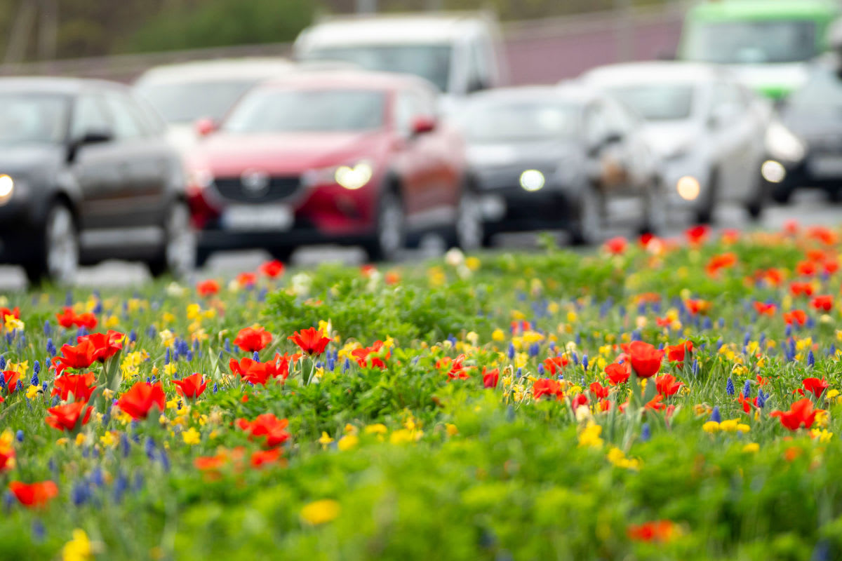 Schänis SG – Verkehrszählungen für Kreiselprojekt