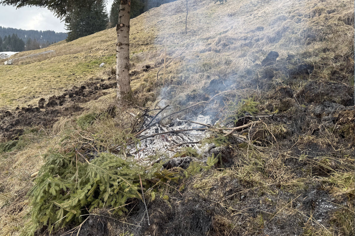 Unteriberg SZ – Grüngut-Brand sorgt für Feuerwehreinsatz