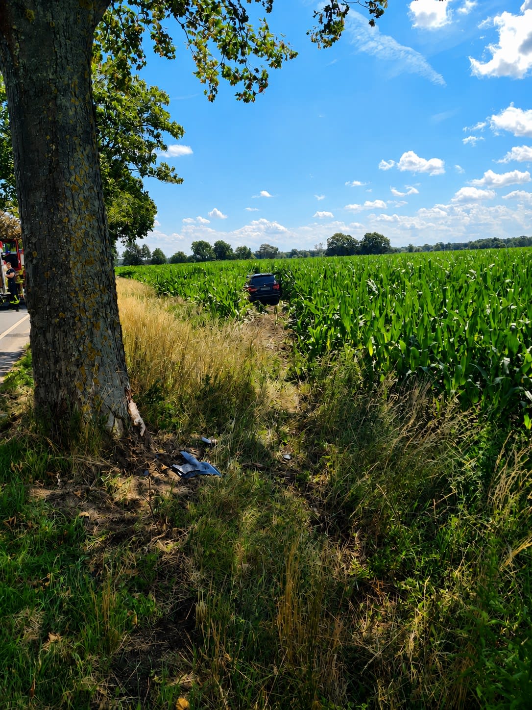 Lehrte – Fahrerin prallt gegen Baum und wird schwer verletzt