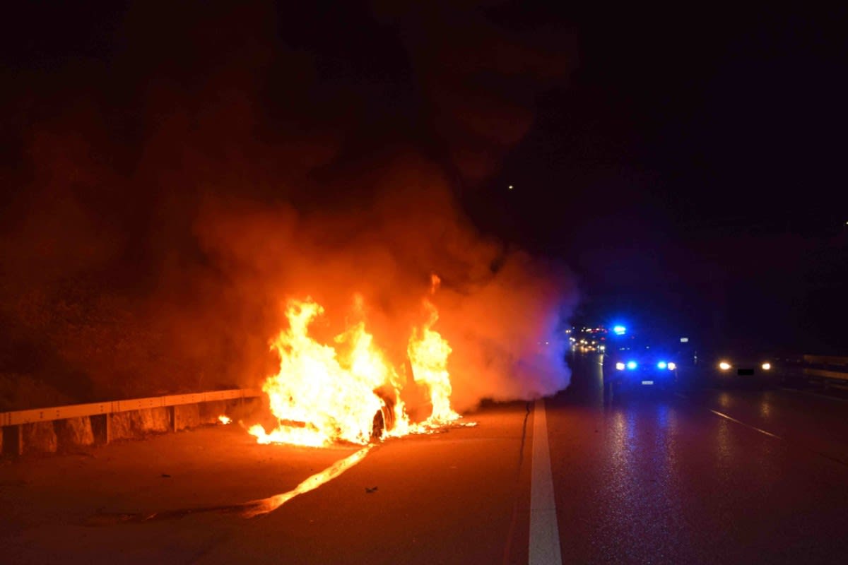 Subingen SO - Insassen und Hund können sich bei Autobrand auf der A1 in Sicherheit bringen
