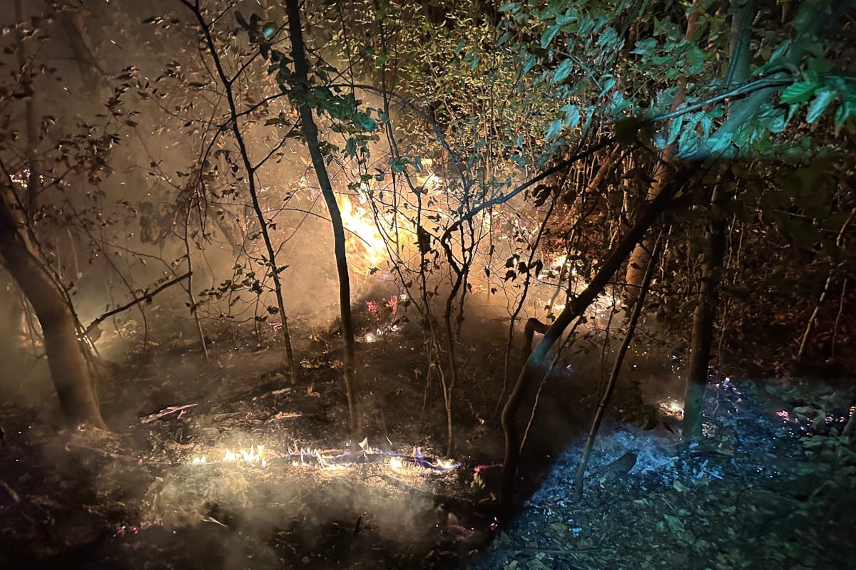 Möriken AG – Feuerwehr kann Waldbrand unter Kontrolle bringen
