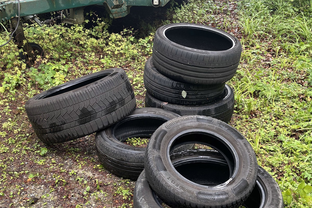 Zeugenaufruf Winterthur ZH – Altreifen illegal im Wald entsorgt