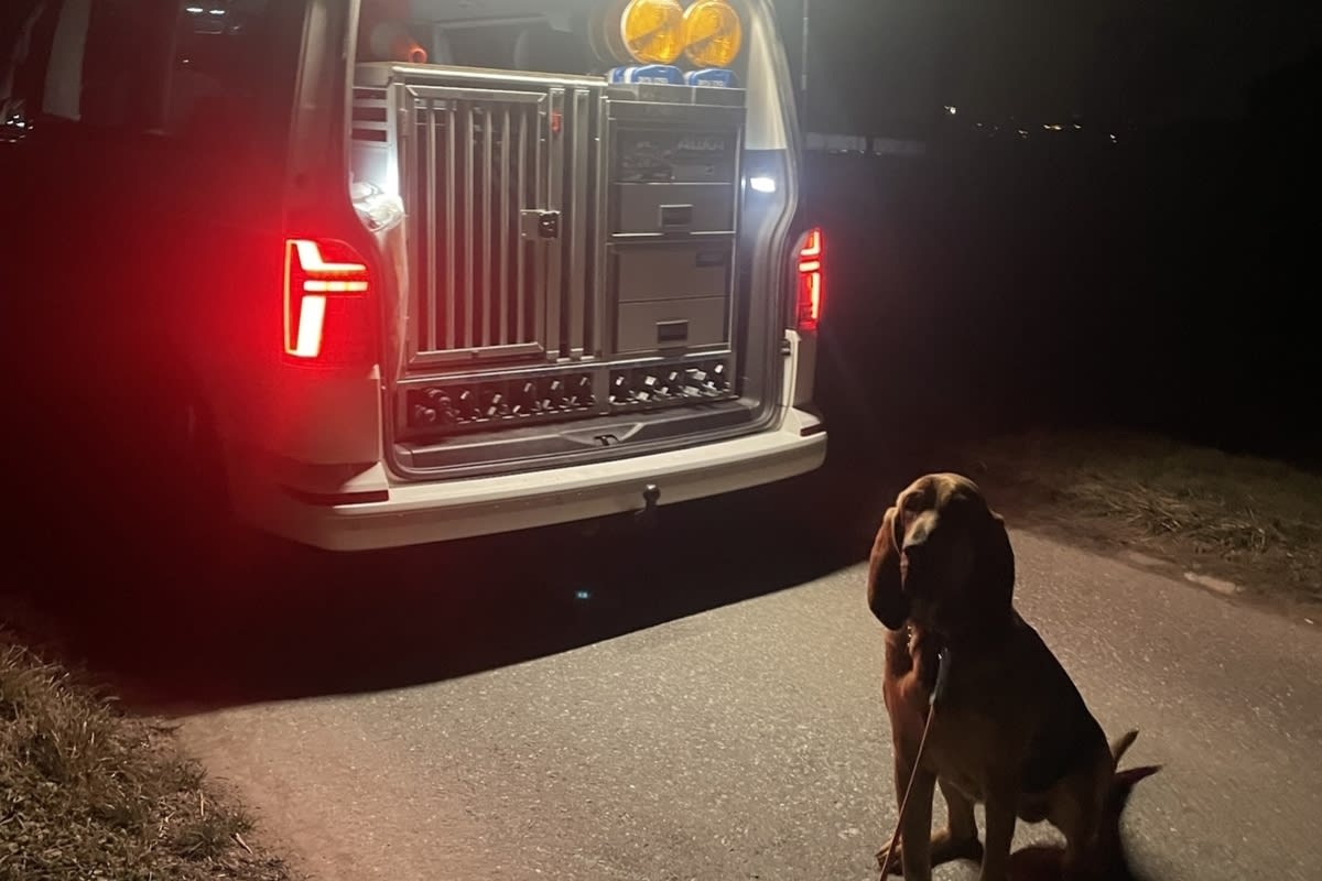 Grüsch GR – Polizeihund spürt Lenker (17) nach Flucht auf