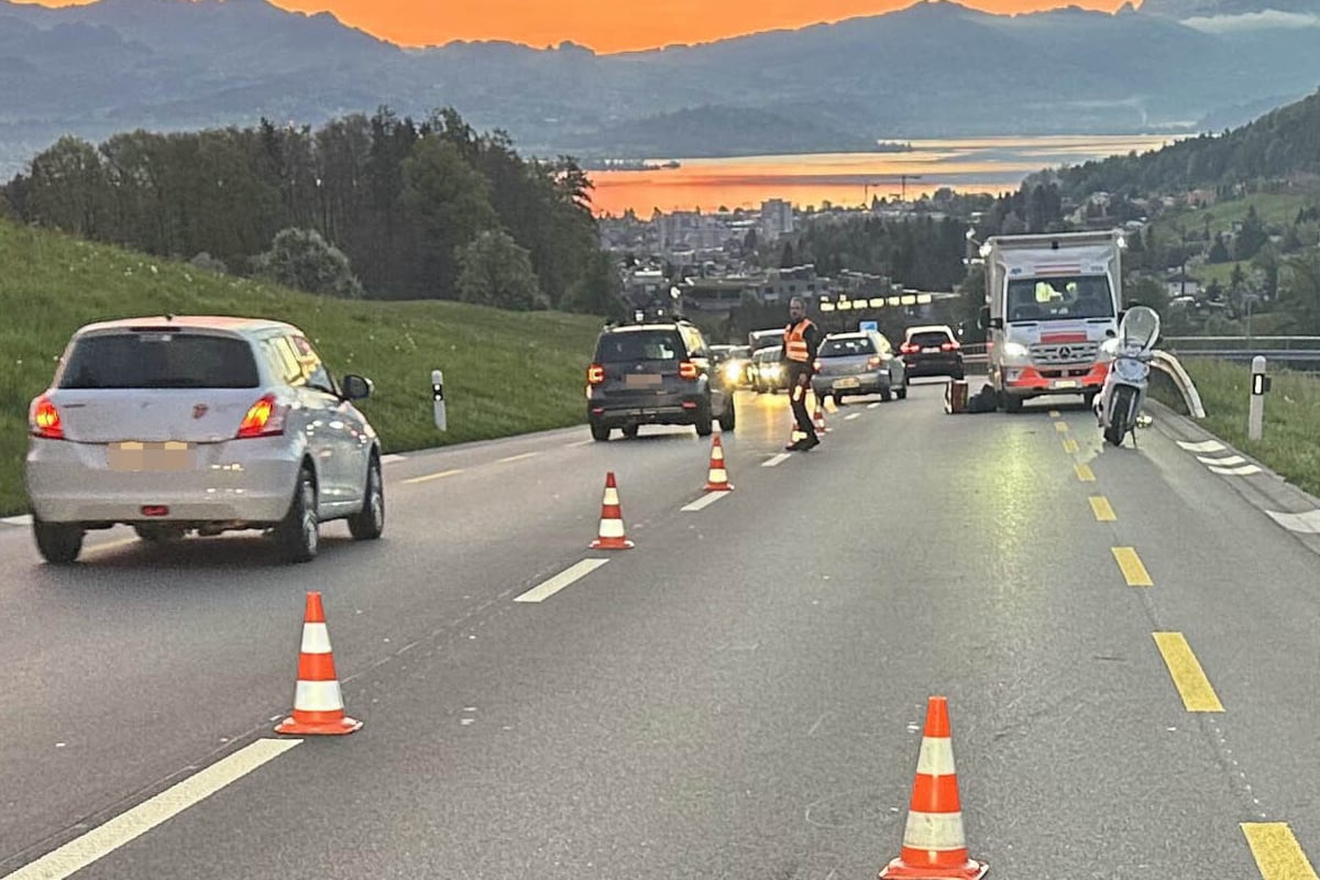 Feusisberg SZ – Motorradfahrer bei Unfall mit Reh schwer verletzt