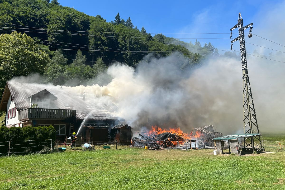 Brand in Hettiswil bei Hindelbank BE – Über 100 Tiere tot geborgen