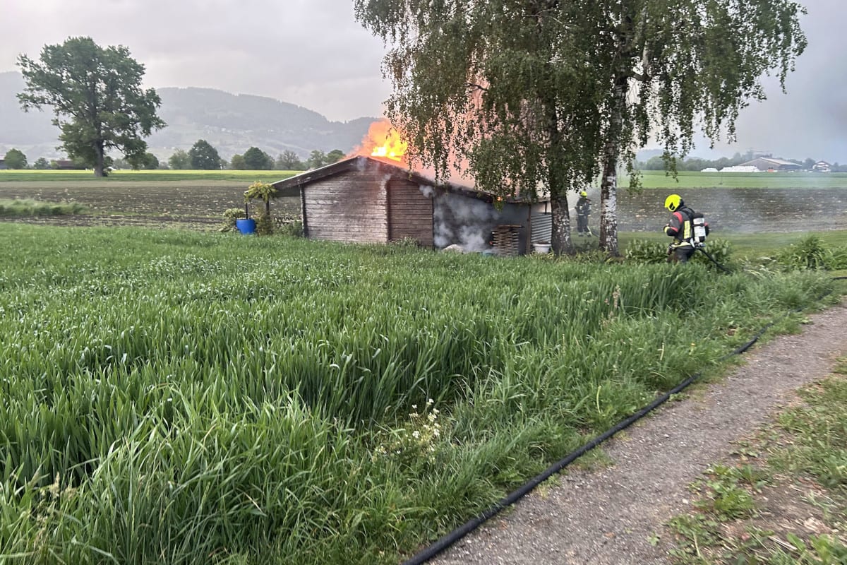 Altstätten SG – Holzasche setzt Schrebergarten in Brand