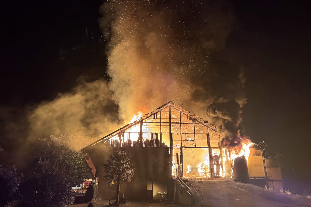 Brand in Tuggen SZ – Stall durch Feuer zerstört