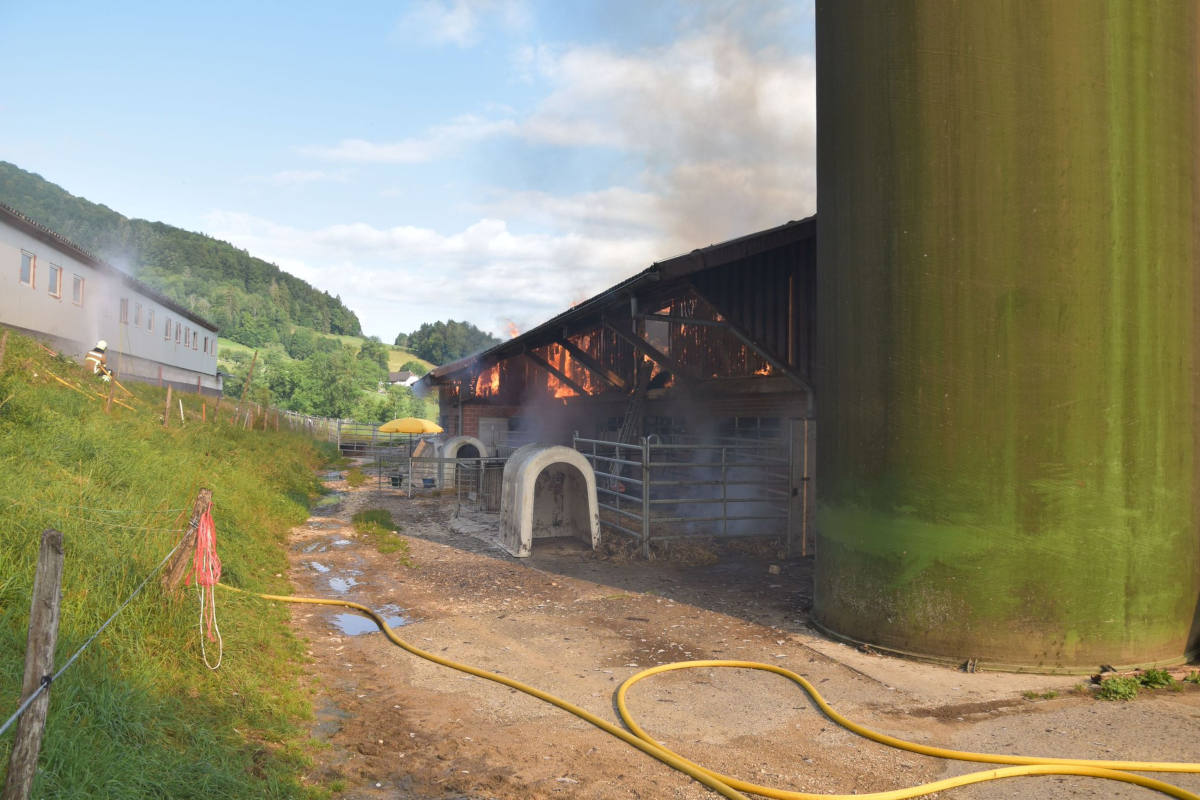 Kleinlützel SO - Defektes Stromkabel ist Ursache für Brand in Oekonomiegebäudes