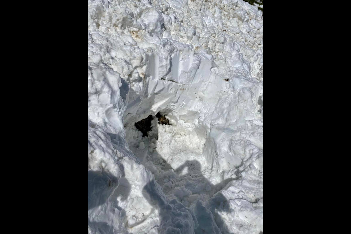 Schwende AI – Lawinenniedergang auf der Altenalp oberhalb des Seealpsees