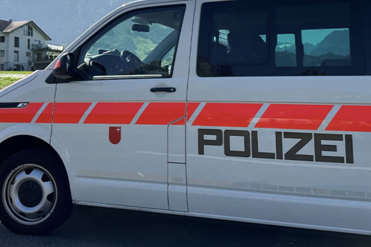 Altendorf SZ – Junges Büsi mit Flobertwaffe erschossen