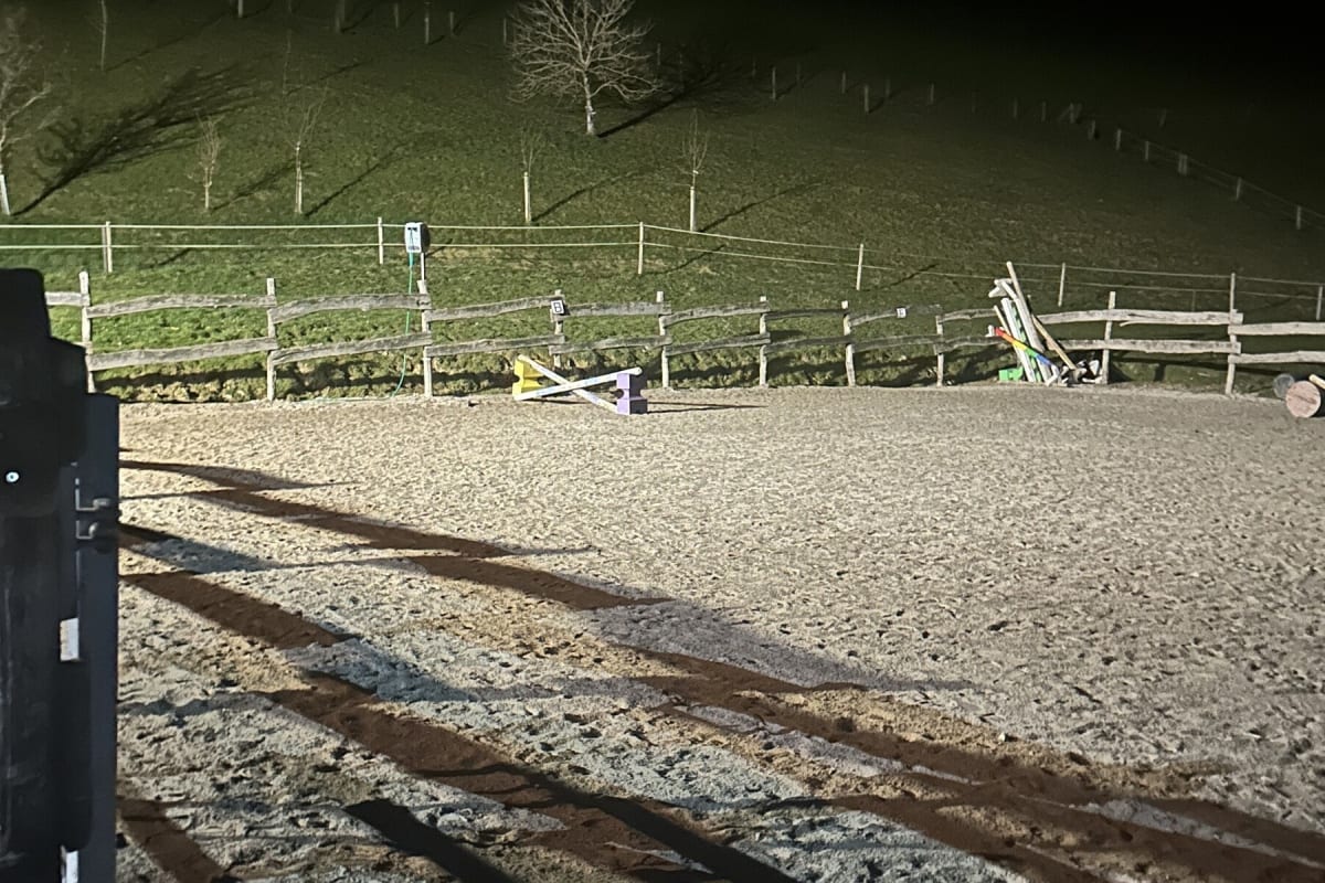 Heiden AR – 19-Jährige bei Reitunfall schwer verletzt