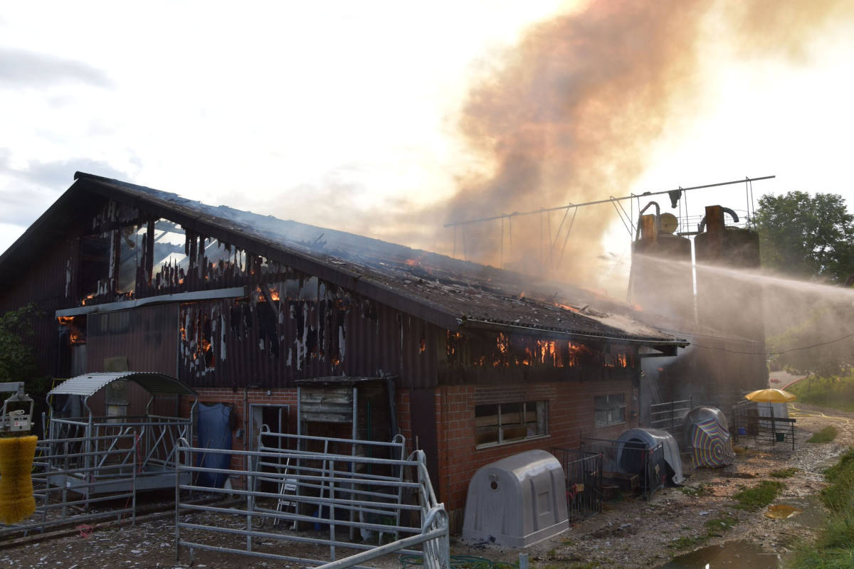 Kleinlützel SO - Oekonomiegebäude in Brand geraten 