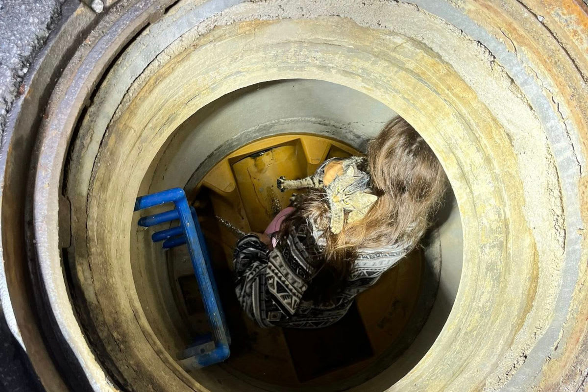 Bischofshofen S – Katze aus Kanal gerettet