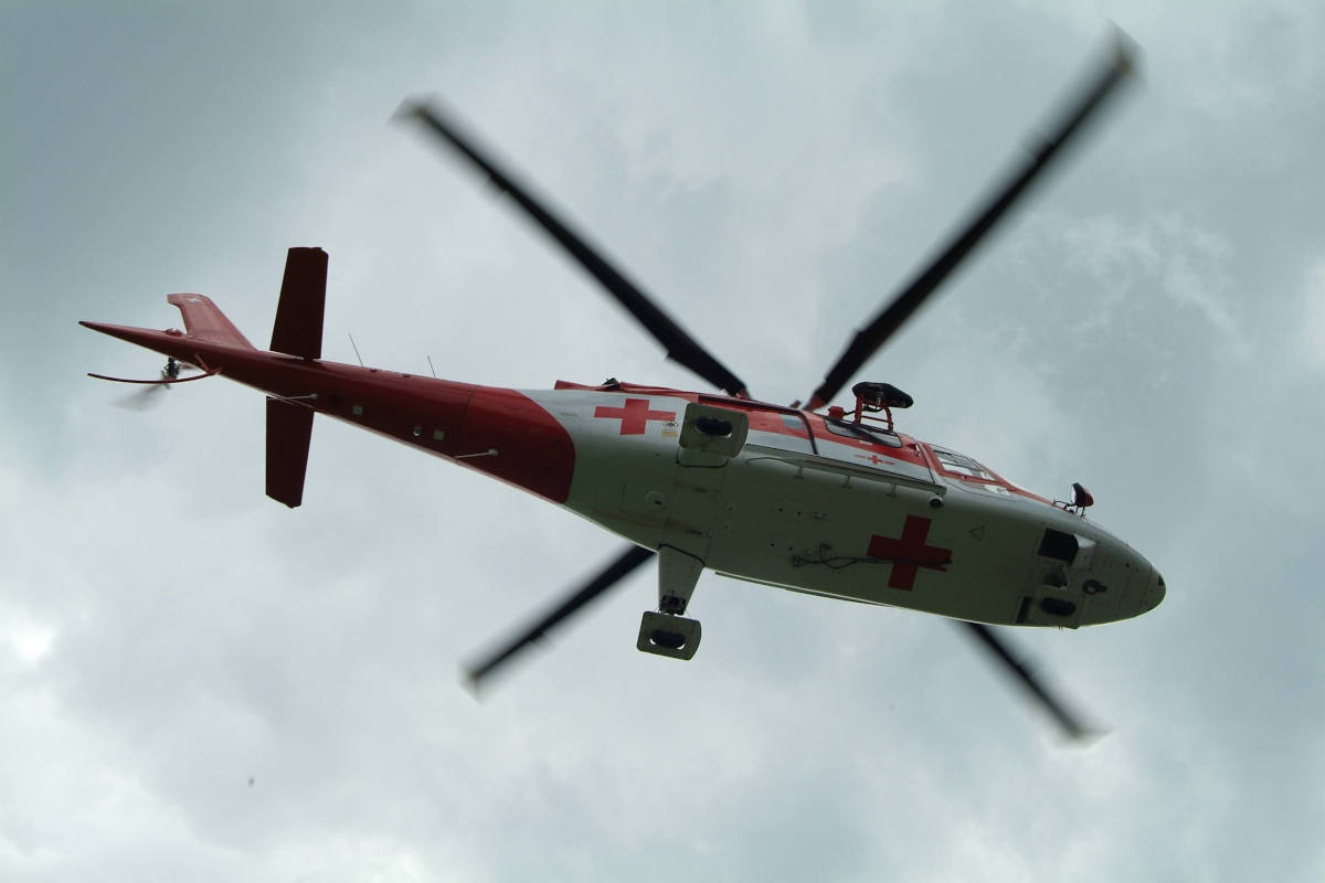 Unteriberg SZ - Stier verletzt zwei Männer teils erheblich 