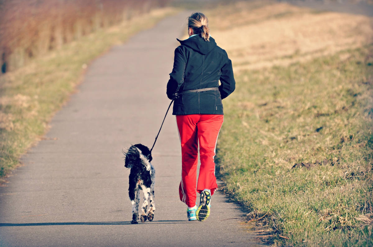 Bad Oldesloe – Radfahrerin stürzt nach Kollision mit Hund schwer