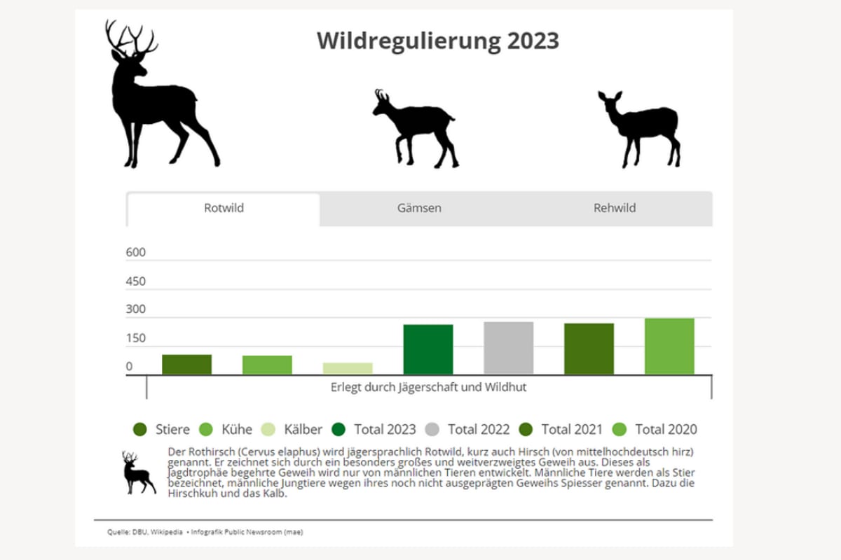 Bilanz der Wildregulierung 2023