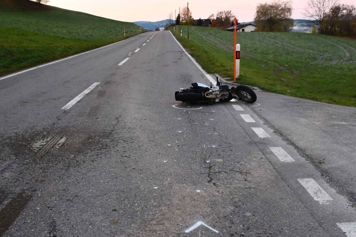 Hauteville/La Roche FR – Entlaufene Kühe verursachen zwei Unfälle
