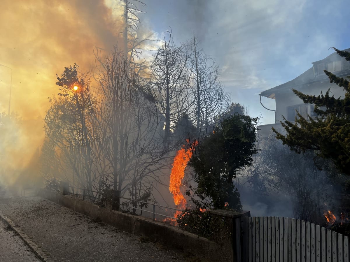 Frenkendorf BL – Heckenbrand greift auf Bäume über
