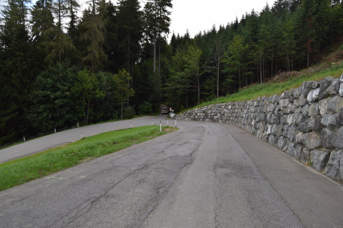 Selbstunfall in Oberegg/AI  - 18-Jähriger fährt ungebremst in den Wald
